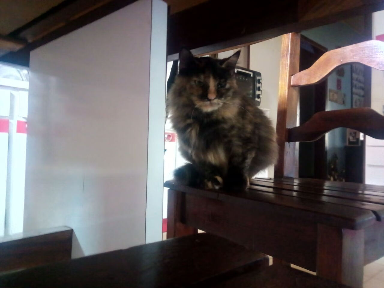 硬汉的赞歌，苏格兰风雪夜鏖战莱比锡，维尼修斯一锤定音封关键先生