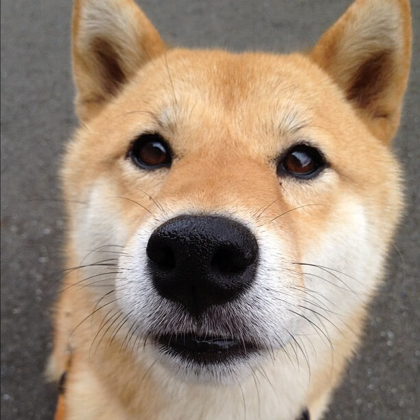 奥运周期关键战之夜,哈登大场面先生的唯一性证明