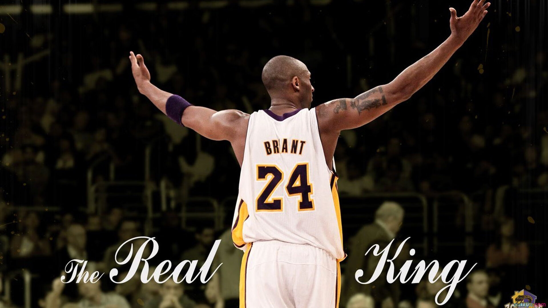 当非洲雄鹰啄伤红狼,格纳布里如何在尼日利亚击溃罗马之夜加冕为王