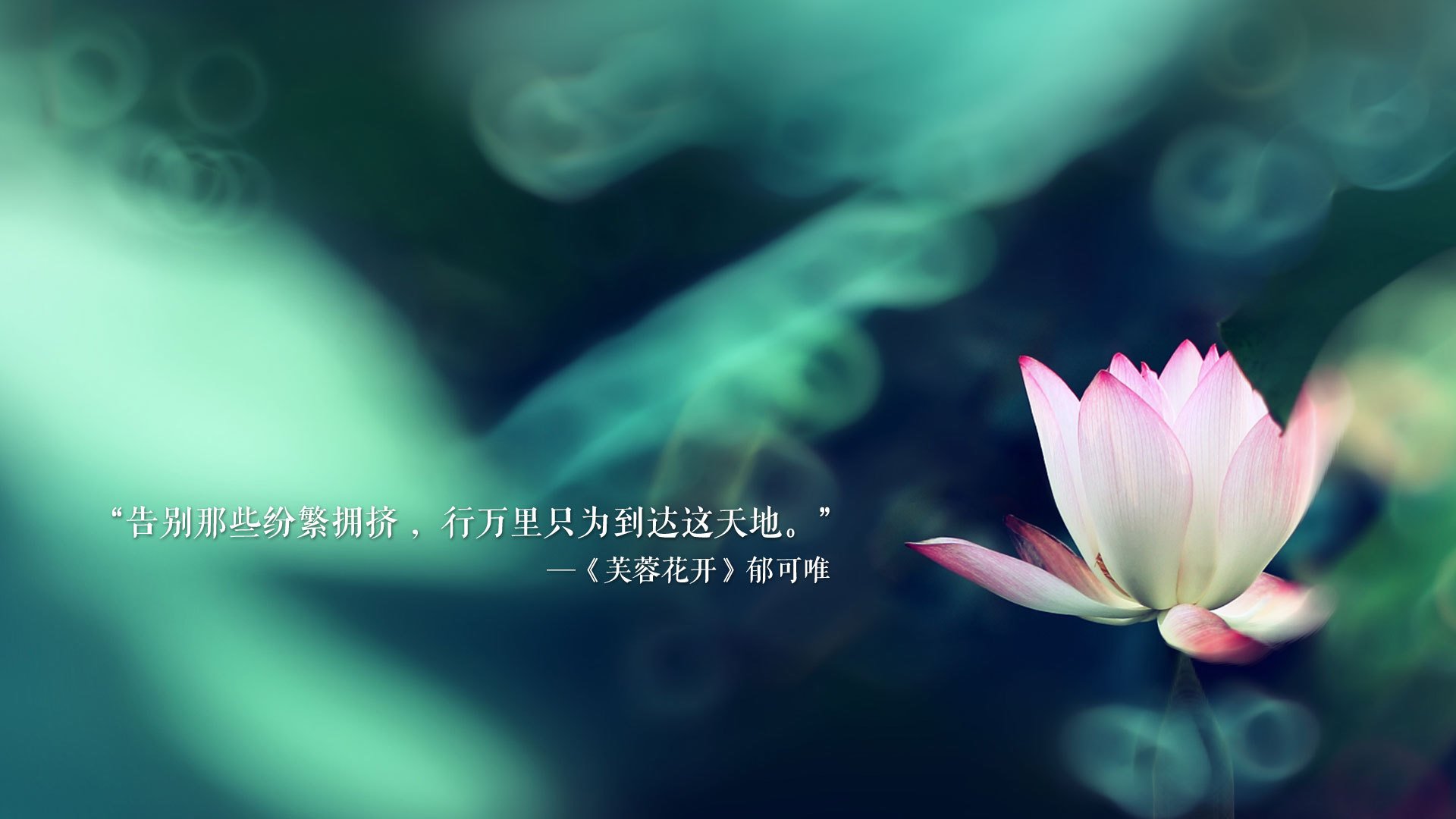 开云sport-封锁的艺术，从卡瓦哈尔到加勒比，核心转换间的博弈