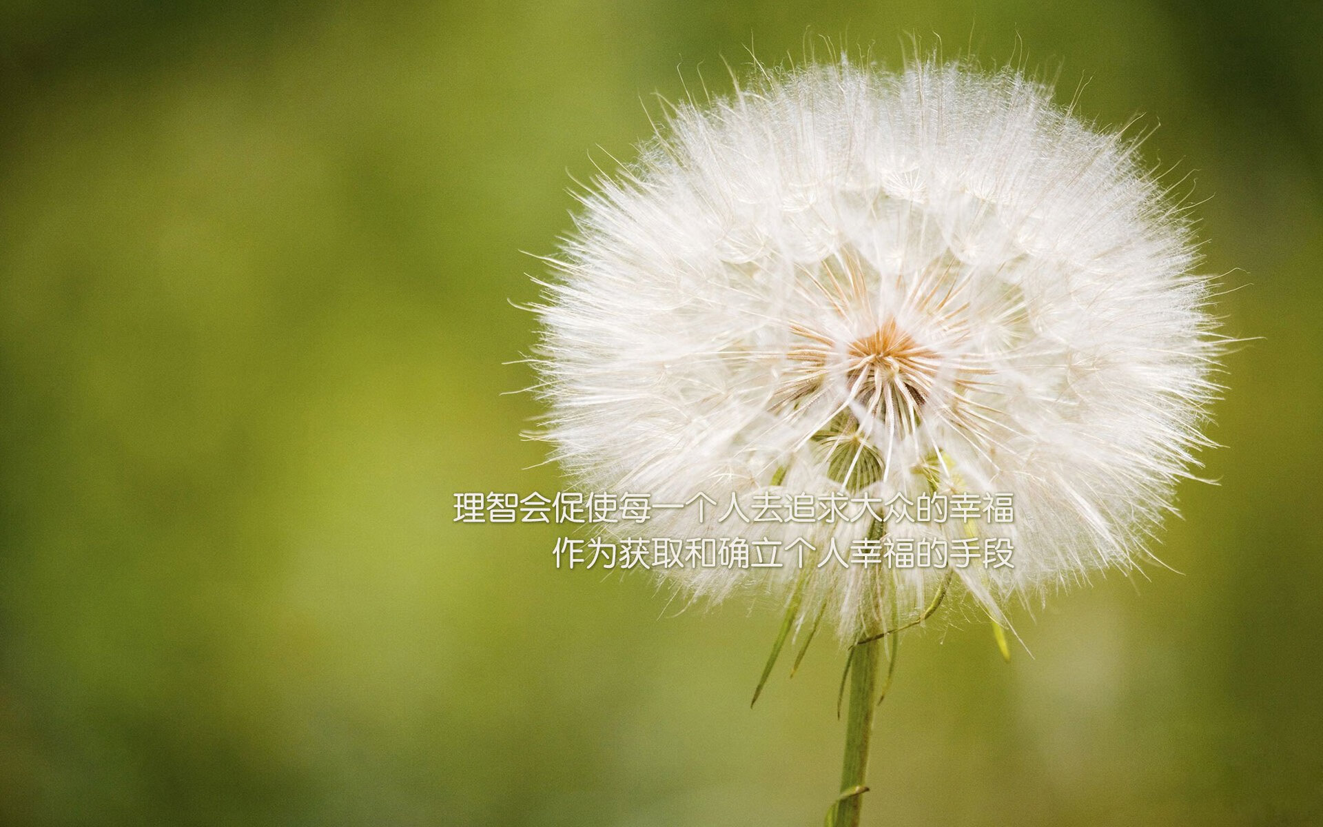 隐形指挥家,奥亚尔萨瓦尔如何用无球智慧重塑尤文对阵加纳之战