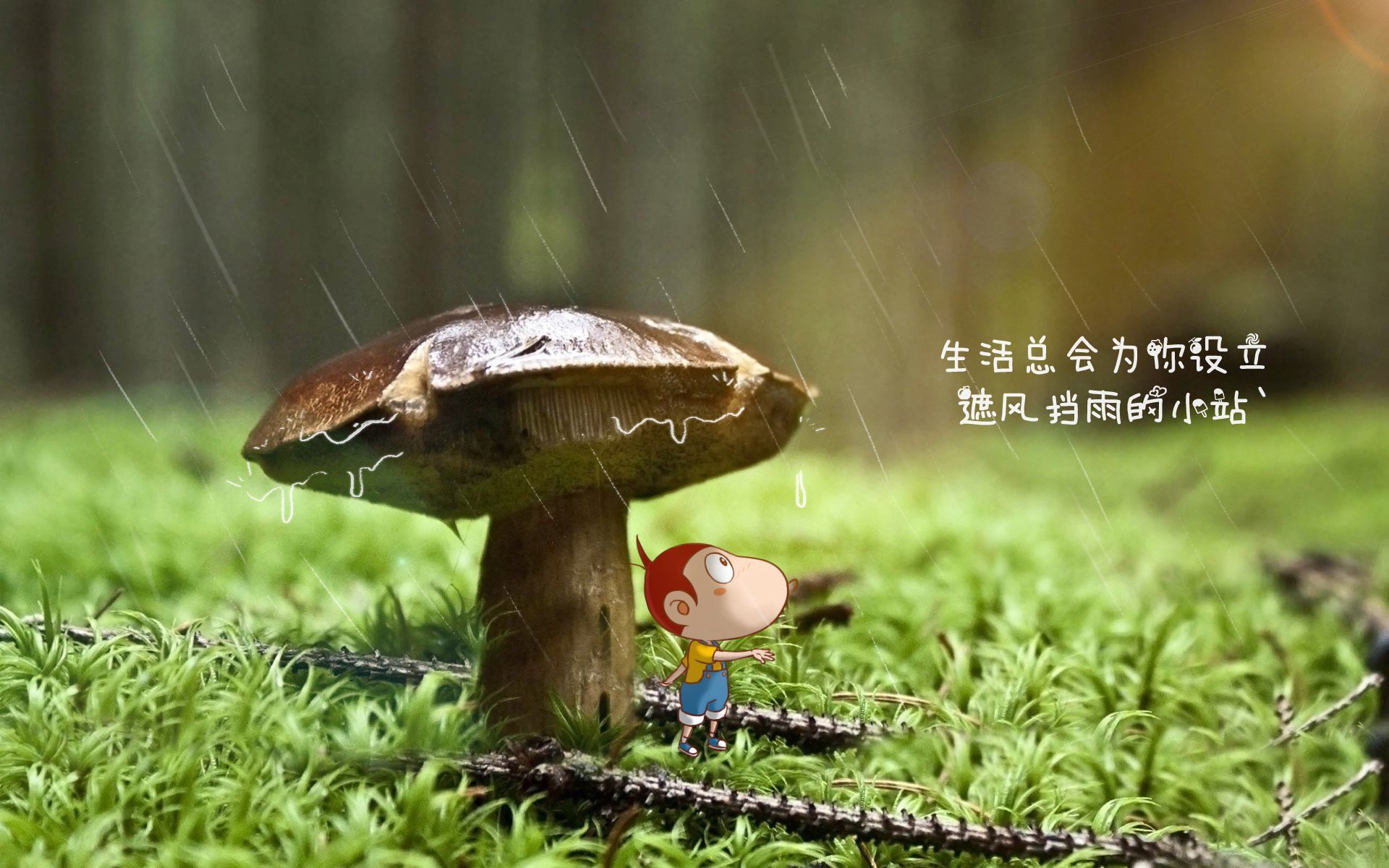 开云体育登录-沙漠之门神，当凯恩的怒吼被一双手吞噬，伊拉克在2026世界杯E组书写最冷逆袭