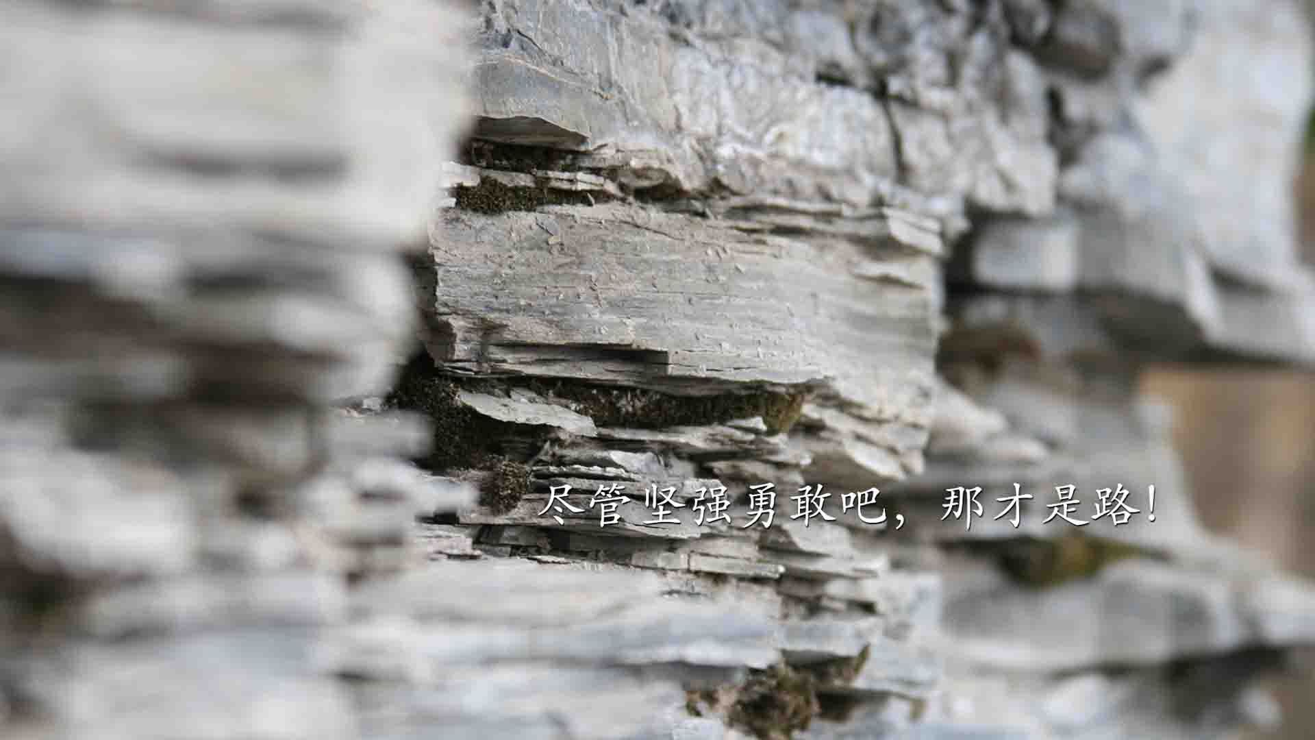 开云体育在线-蓝衣骑士踏碎星条旗，无冕之王却成最亮背景板—2026世界杯F组上演冰与火之歌